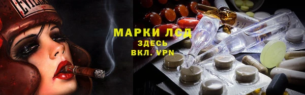 дживик Горняк