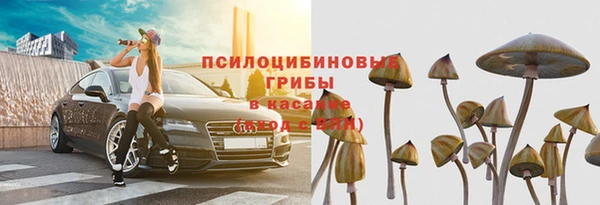 эйфоретик Горнозаводск