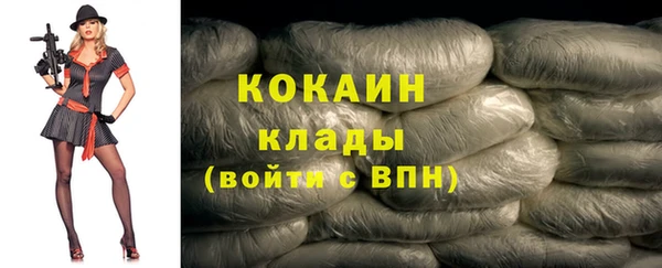 дживик Горняк