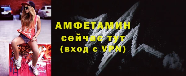 дживик Горняк