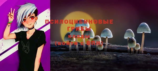 эйфоретик Горнозаводск