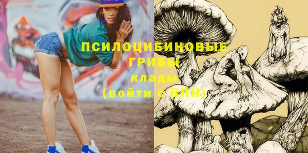 мдпв Вязьма
