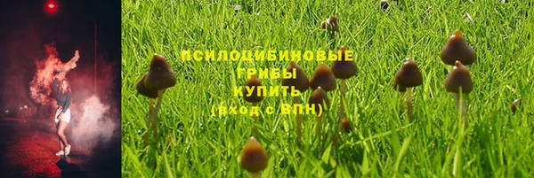 каннабис Нефтекумск