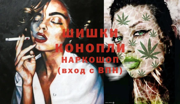 дживик Горняк