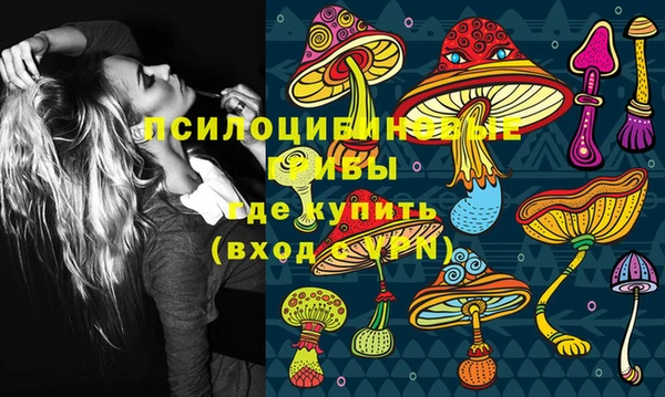 эйфоретик Горнозаводск