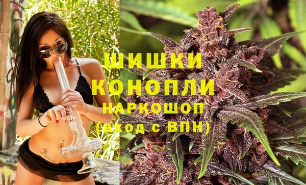 дживик Горняк