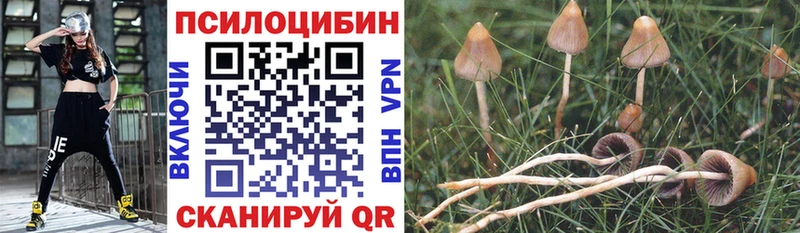 Галлюциногенные грибы мицелий  хочу наркоту  Кимры 