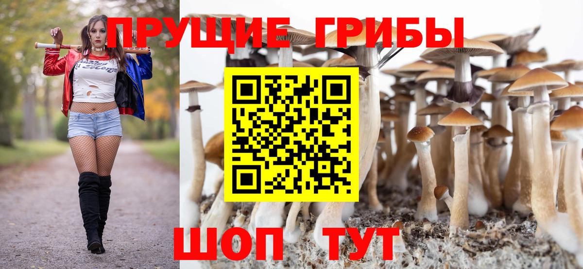 Галлюциногенные грибы GOLDEN TEACHER Кимры